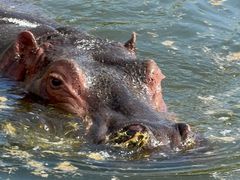 -鄂尔多斯野生动物园