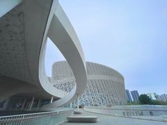 -福州海峡文化艺术中心