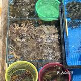 在济南 我安排的海鲜餐厅 被夸了一晚上
