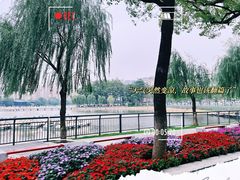-武汉动物园