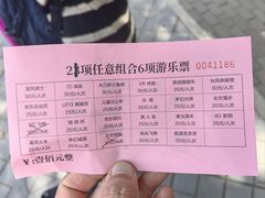 -朝阳公园游乐园