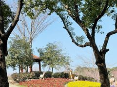 -东方绿舟景区