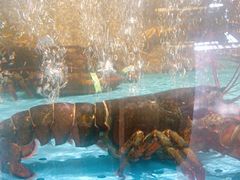 -阿伟海鲜楼·福建菜(延寿店)