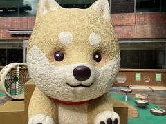 -新城市广场