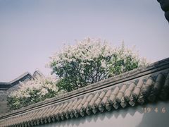 -保定直隶总督署博物馆