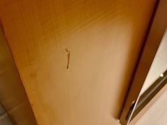 -上海静安香格里拉大酒店