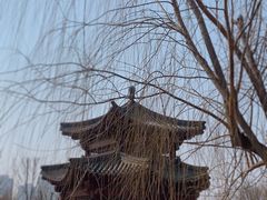 -水西公园