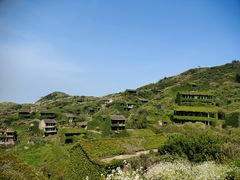-枸杞岛