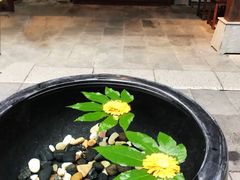 -天目湖御水温泉·度假酒店