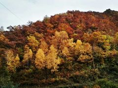 -云顶山风景区