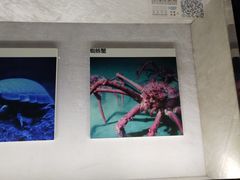 -同济大学四平路校区深海探索馆