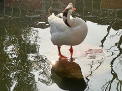 -龙华寺