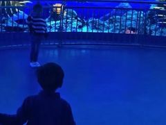 -芜湖新华联大白鲸海洋公园