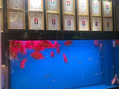 -康悦足疗(长安锦绣店)