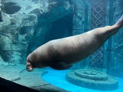 -波塞冬海底世界