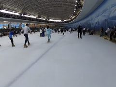 -世界之窗阿尔卑斯冰雪世界