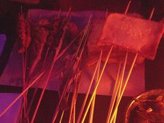 -夜火烤摊·东北烧烤酒场·老杨小黄鱼