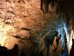 -怀托摩萤火虫洞