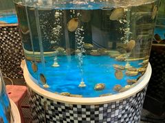 -蓬川食府(金海道店)