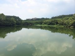 iphone_upload_pic-南国桃园旅游度假区