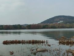 -长广溪湿地公园