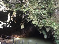 -怀托摩萤火虫洞