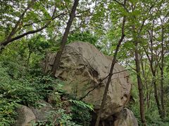 -大岭沟猕猴桃谷风景区