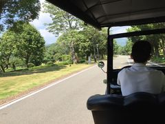 -福建鲤鱼洲酒店