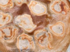 -百岁鱼(七一路店)