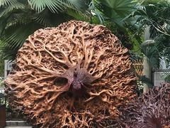 -龙达温泉生态城