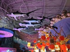 -烟台海昌鲸鲨海洋公园