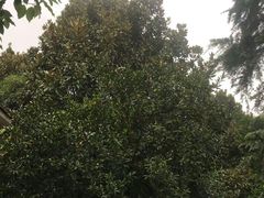 -石燕湖生态旅游景区