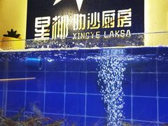 -星椰叻沙·椰浆鲜虾面(江南西店)