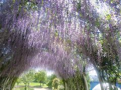 -同里国家湿地公园