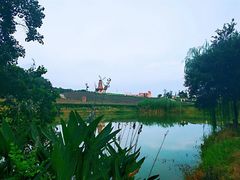 -大塘金香草谷