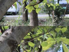 -高荡千年布依古寨旅游景区