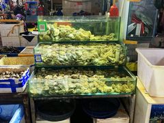 -众彩物流水产市场