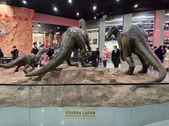 -中国西峡恐龙遗迹园