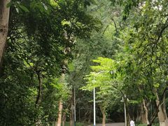-火炉山森林公园
