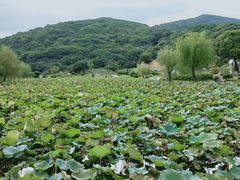 -龙寺生态园