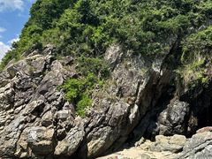 -杨梅坑