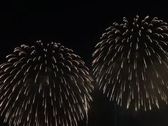 -华侨公园