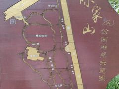 -陈家山荷花公园