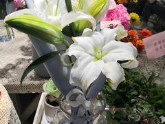 -Libra Flora花店(骆岗中央公园店)