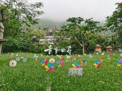 -青青世界