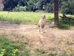 -杭州野生动物世界