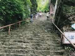 -天女山森林公园
