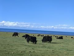 -青海湖国家重点风景名胜区