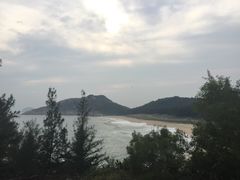 -广东惠东海龟国家级自然保护区