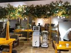 -明洞造型精品烫染